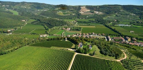 Внешний вид отеля Tenuta Delo Relais в Вероне, фото 1