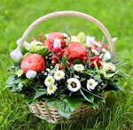 Buketloves (Prosvescheniya Avenue, 99) ، محل زهور