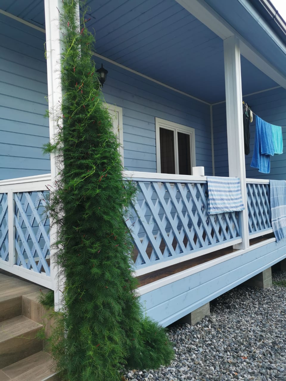 Фото Абазгия