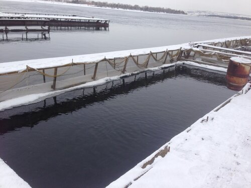 Balık çiftçiliği ve toptancıları Елисей, Hakasya, foto