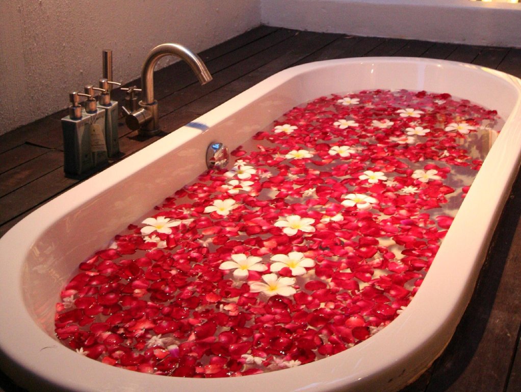 Фото Mimosa Resort & SPA