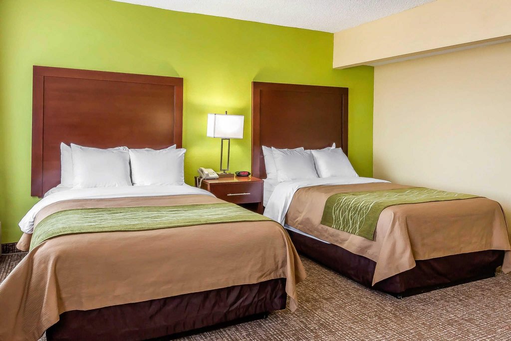 Фото Comfort Inn St Petersburg North