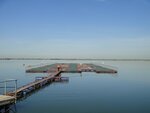 Осетровая ферма (Rostov Region, Azovskiy rayon, Obilnenskoye selskoye poseleniye), pesca, piscicultura