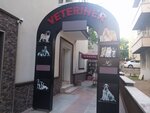 Analiz Veteriner Klinigi (провинция Анкара, район Чанкая, махалле Юкары Бахчелиэвлер, улица Ашкабат, 34), ветеринарная клиника в Анкаре