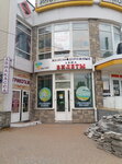 Leng-Trevel (Leninskiy Avenue, 110) ، وكالة أسفار