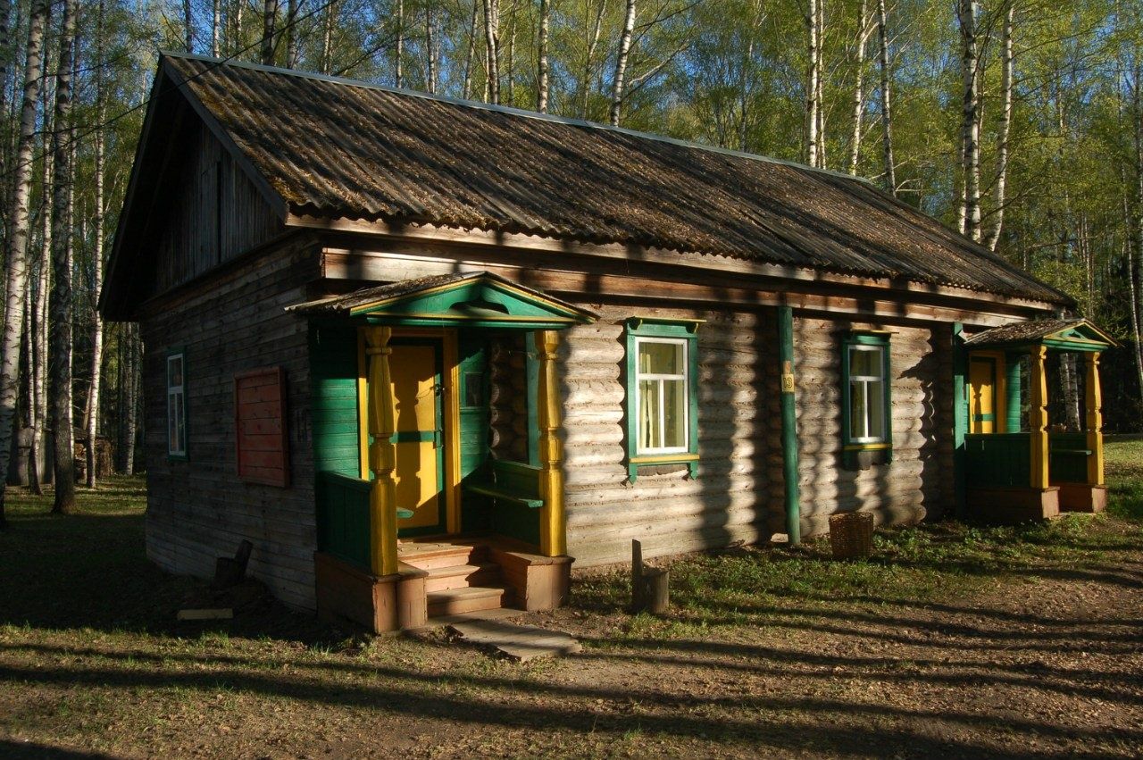 Фото Подсолнухи