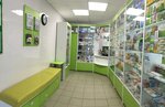 Аптечный пункт (Moscow Region, Ramenskiy Municipal District, posyolok Denezhnikovo), pharmacy
