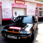 Фото 3 Motul Expert