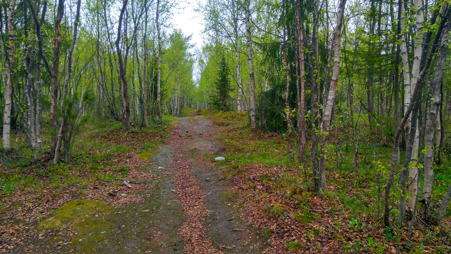 Фото Северное сияние