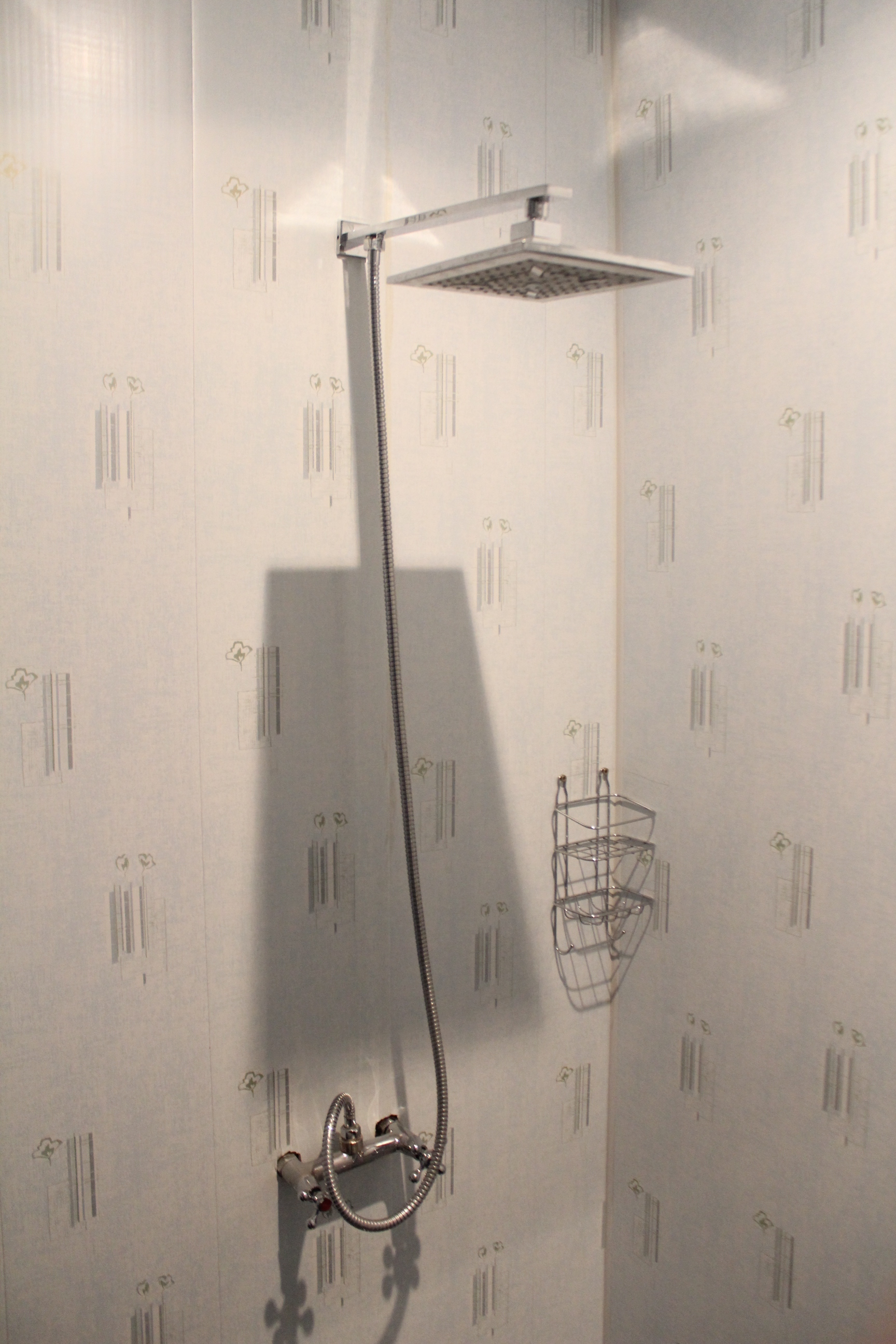 Фото Абсолют