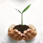 Reabilitatsionny tsentr Rozhdennyye zhit (No:25А, derevnya Rychkovo), tıbbi rehabilitasyon merkezleri  Moskova ve Moskovskaya oblastından