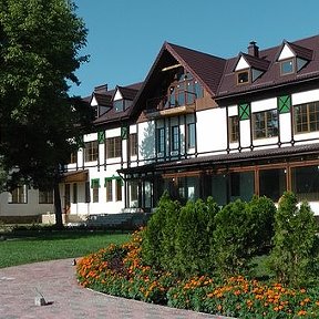 Фото Березки