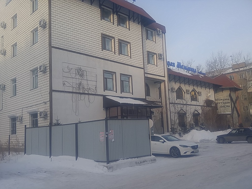 Фото Метелица