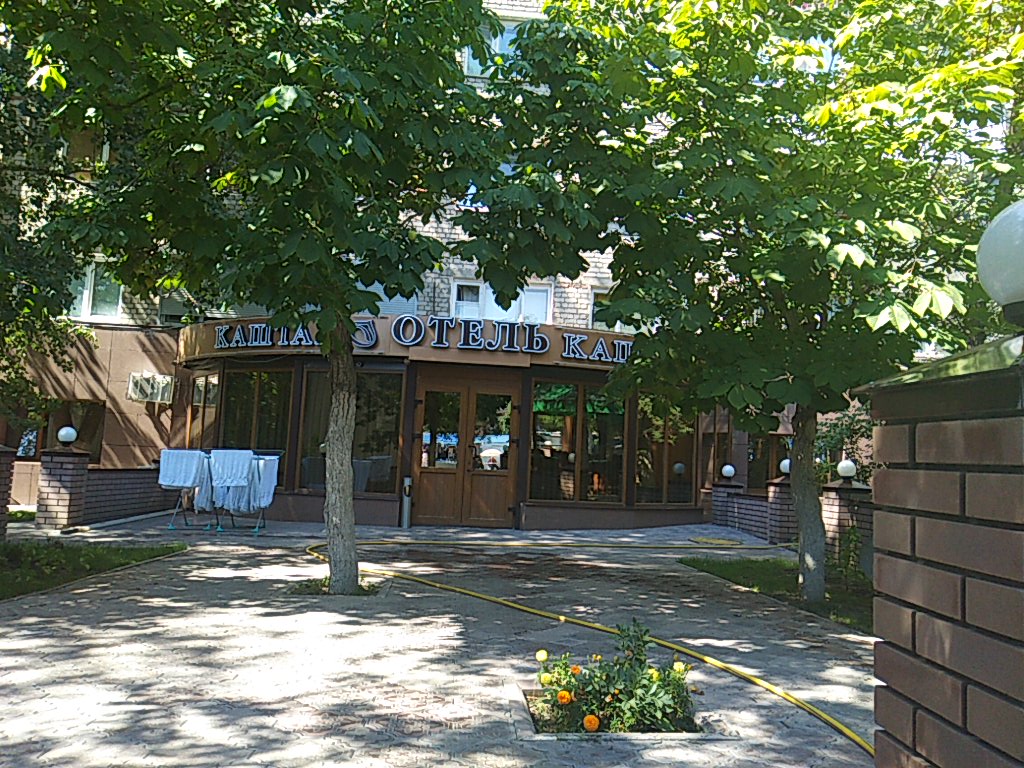 Фото Каштан