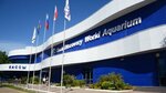 Sochi Discovery World Aquarium (Lenina Street, 219А/4) ، حوض السمك
