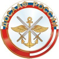 Логотип автошколы «Семилукский СТЦ РО ДОСААФ России Воронежской области»