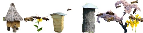 Товары для пчеловодства Кемеровский пчелоцентр, Кемерово, фото