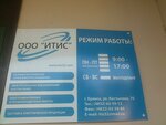 Itis (ulitsa Kostycheva, 70) ، معهد التصميم