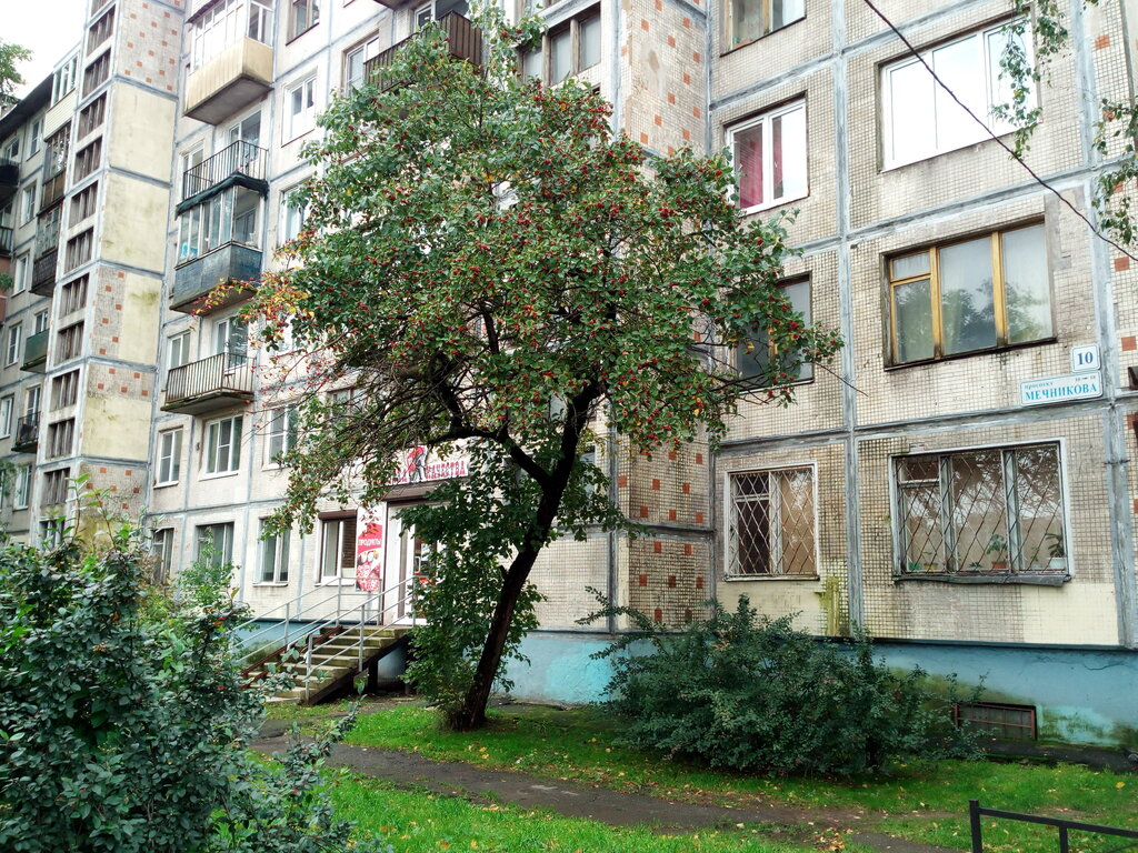 Магазин 2 Шага Спб