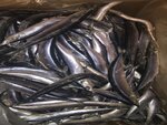 Титаниус (Naberezhno-Pecherska Road, 2), fish and seafood