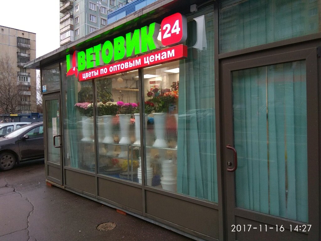 Магазин Цветовик Спб Каталог Товаров