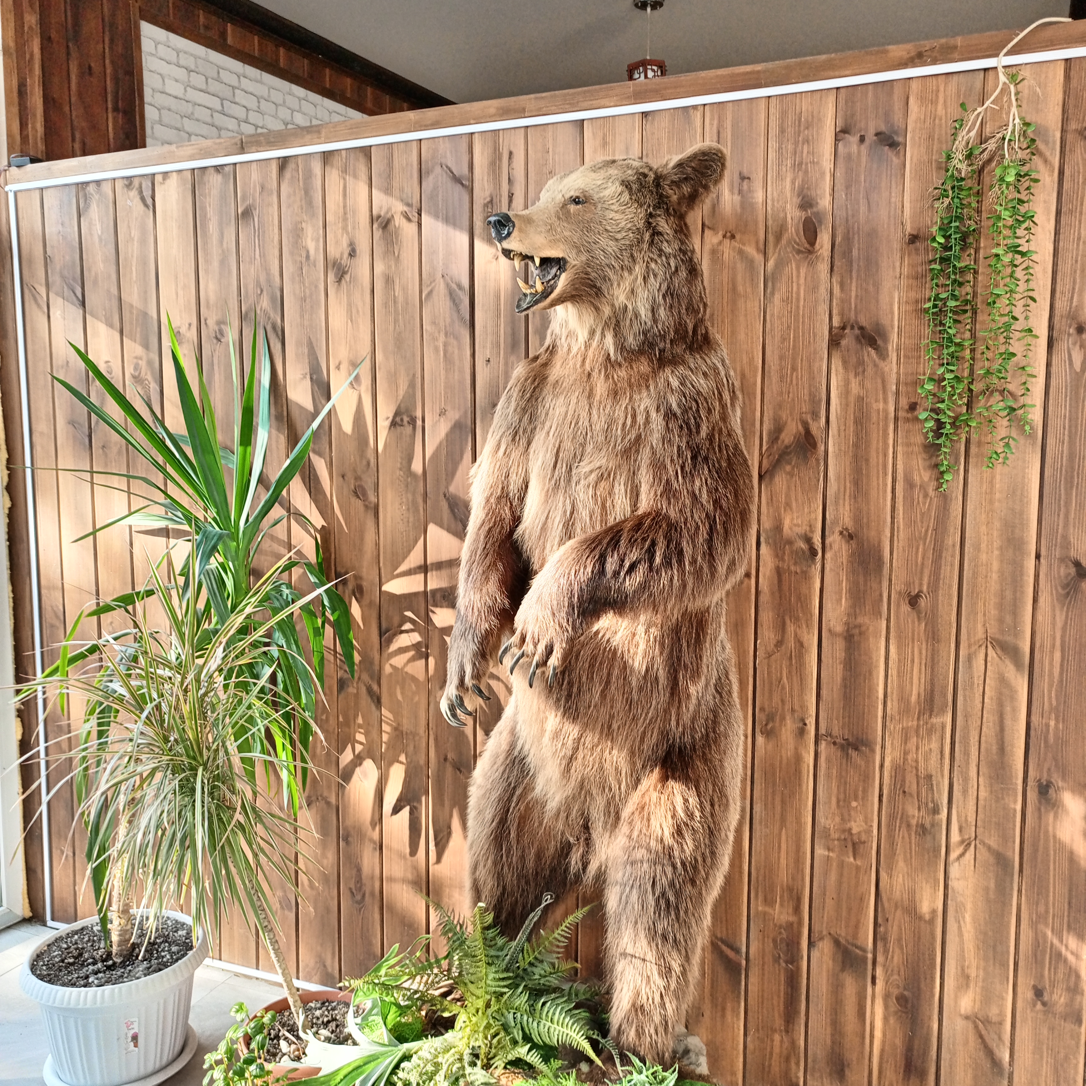 Фото Родник