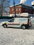 Avelim (ulitsa Obrucheva, 47), limpieza de alfombras