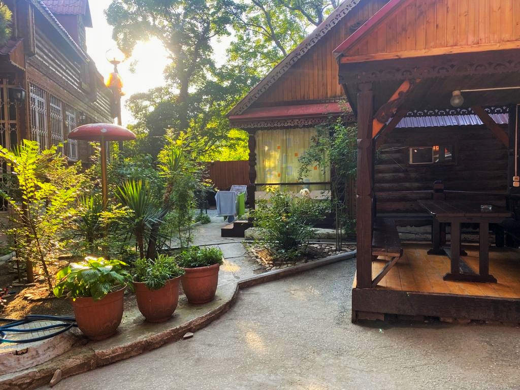 Фото Сосновый бор