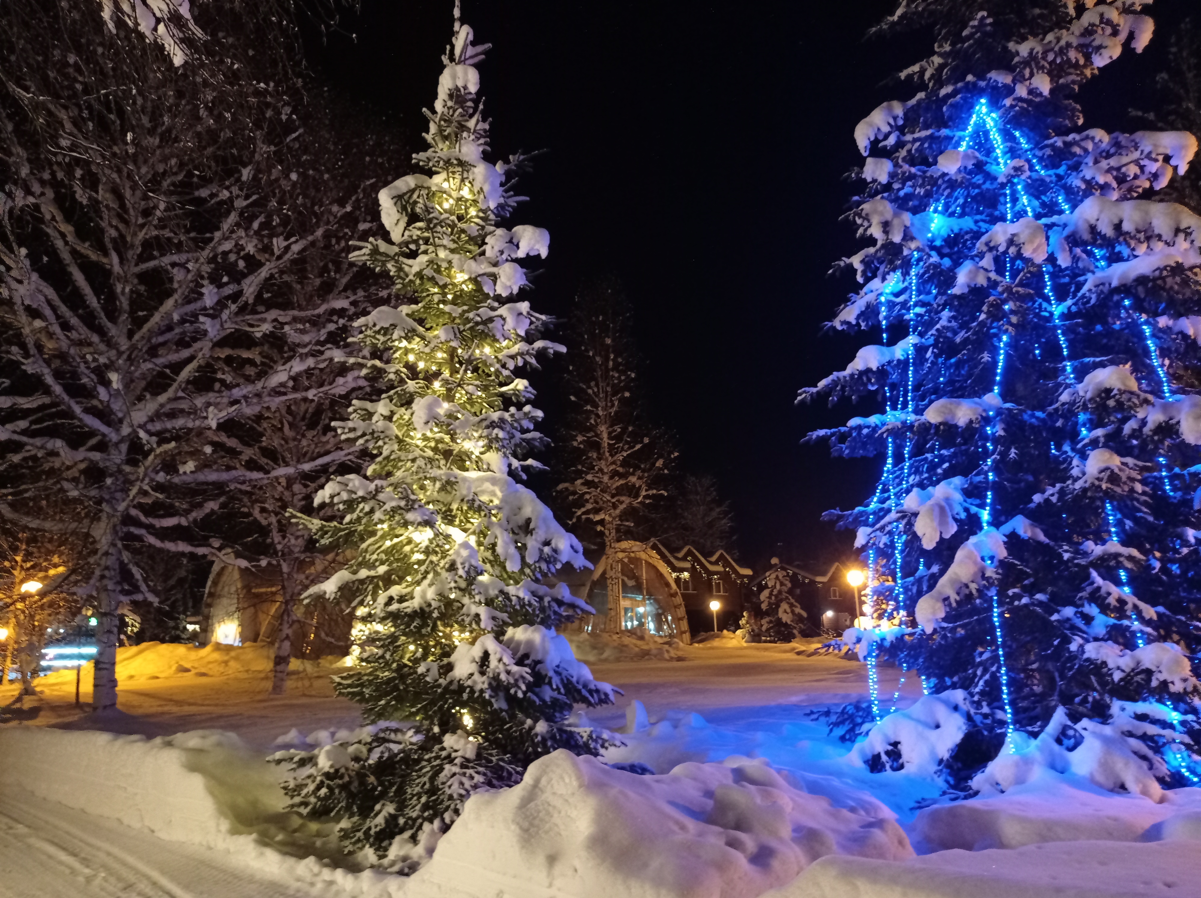 Фото Озерки