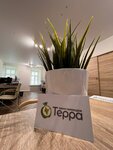 Terra (Bolshaya Dmitrovka Street, 34с4), translation agency