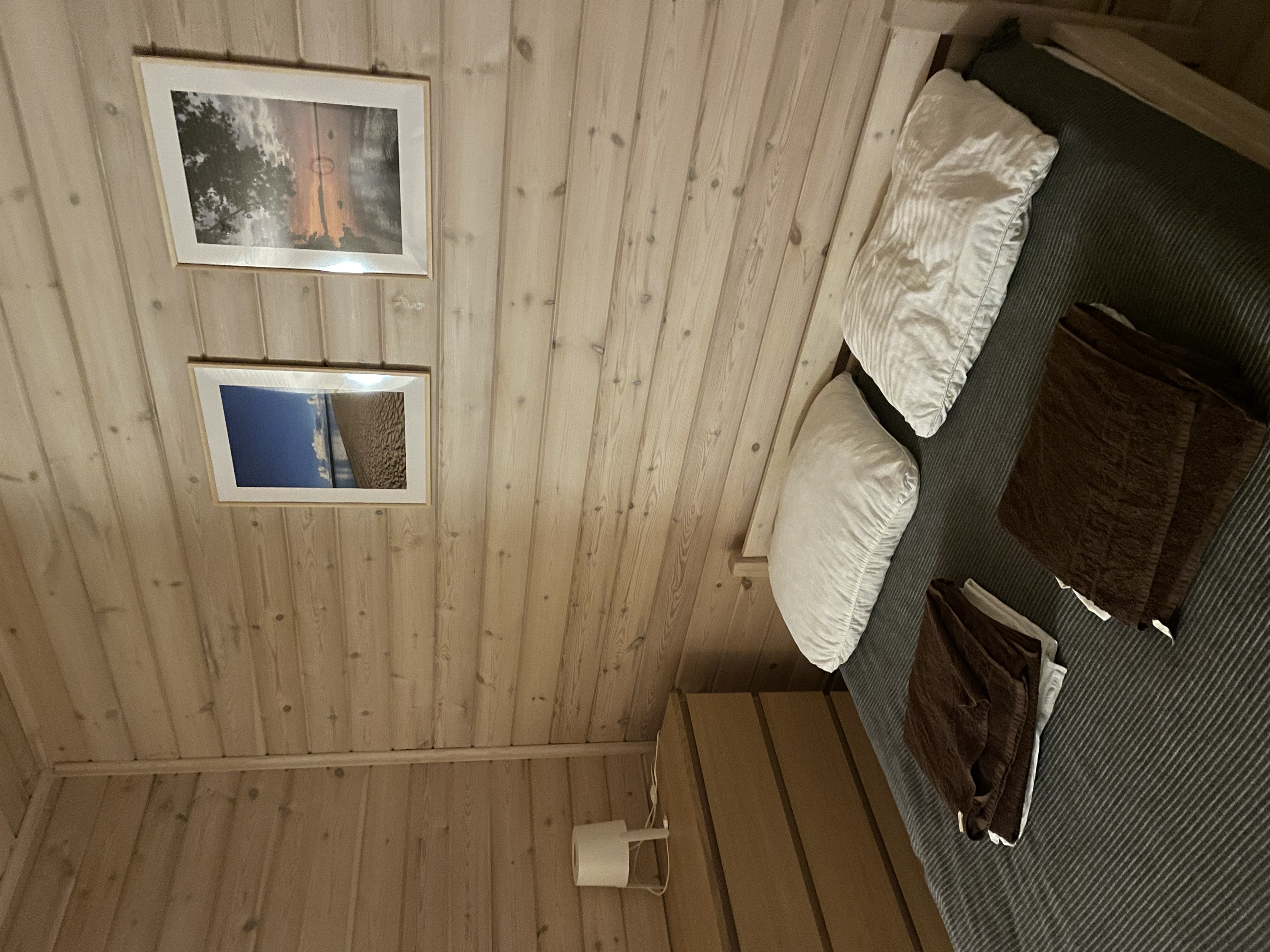 Фото Березки