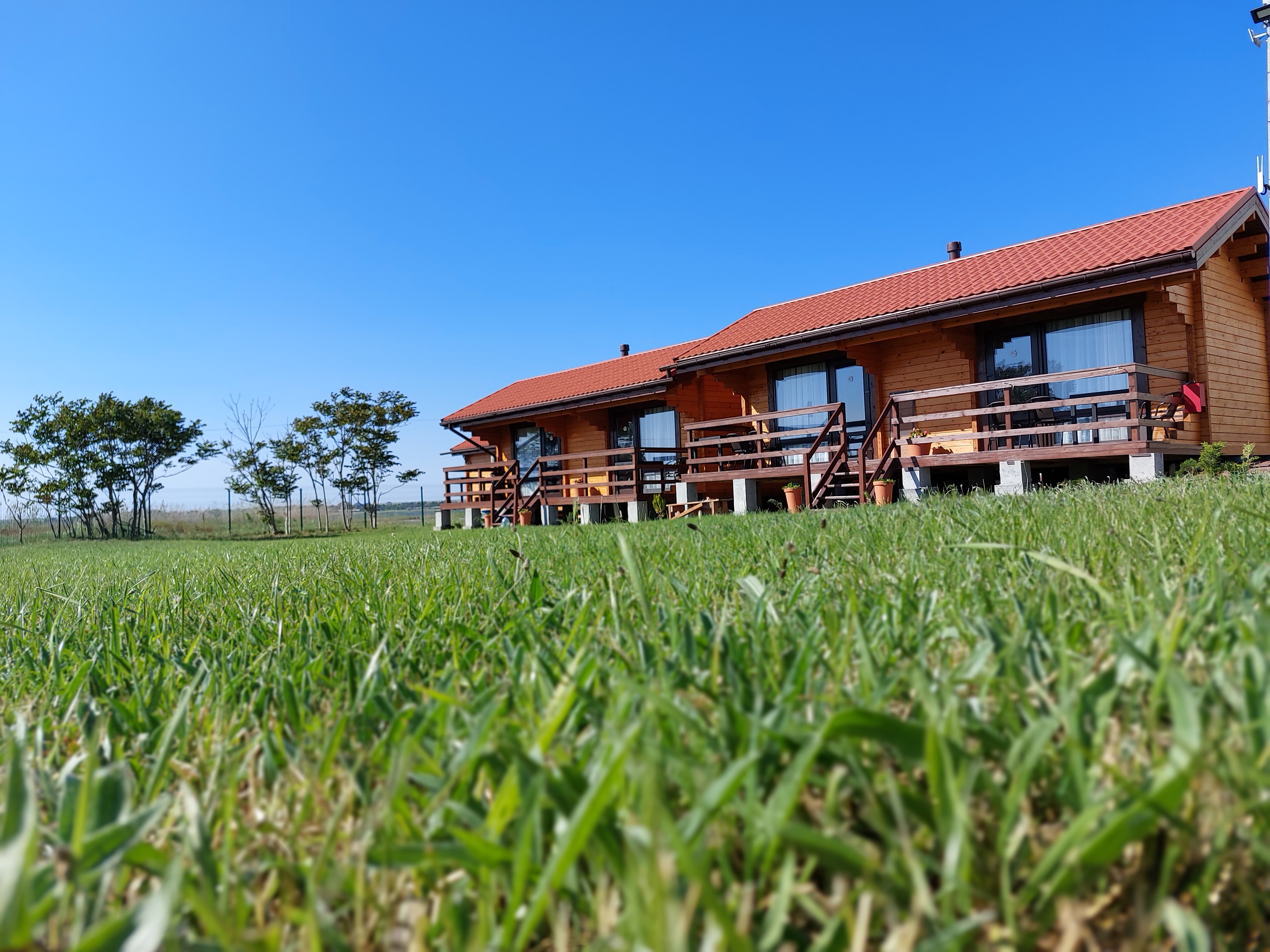 Фото Кактус