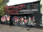 Convallaria studio (Sedova Street, 73) ، محل زهور