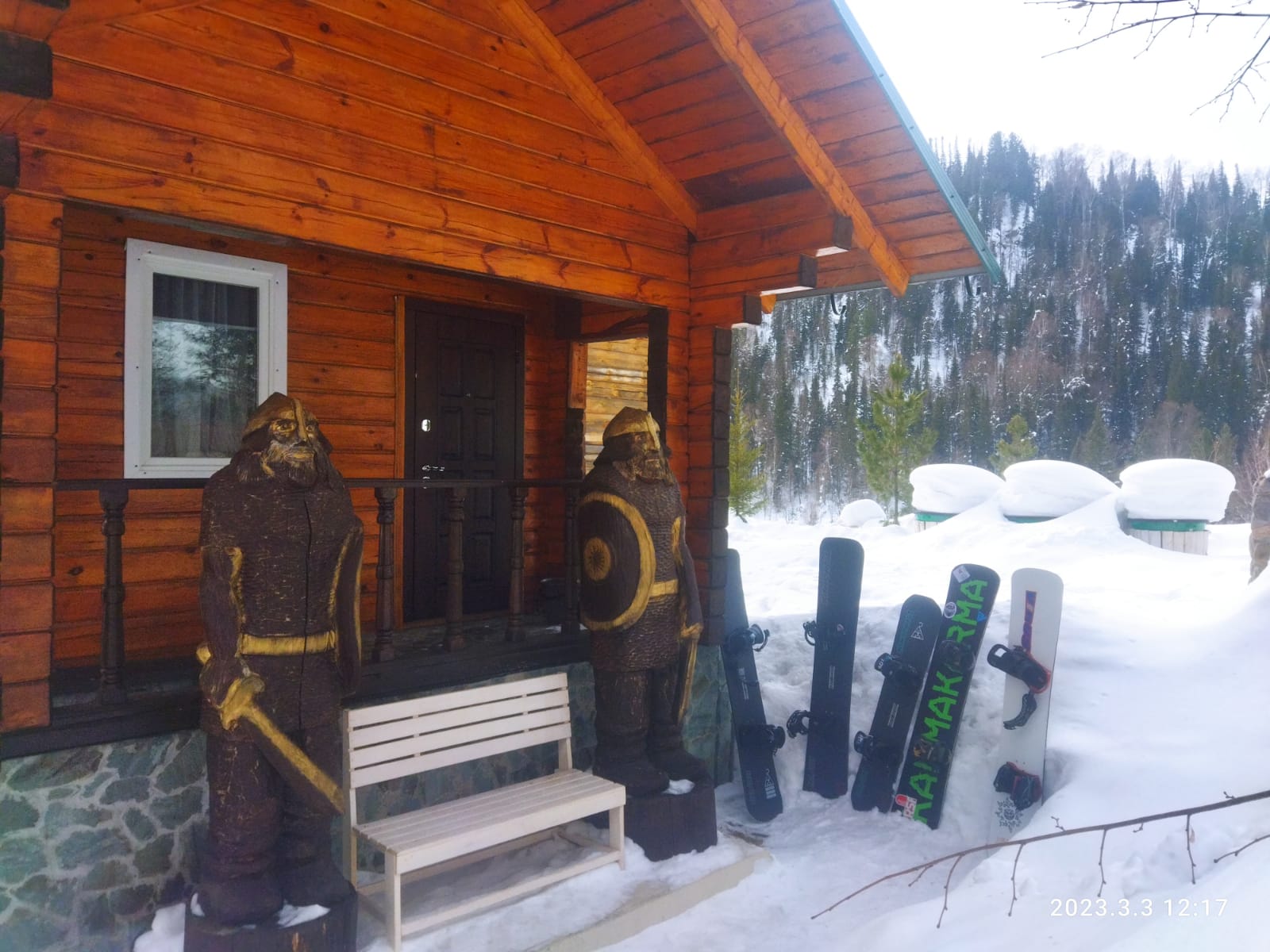 Фото Золотая сова