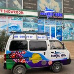 Oceanic York (Chimboy Street, 115), aquariums