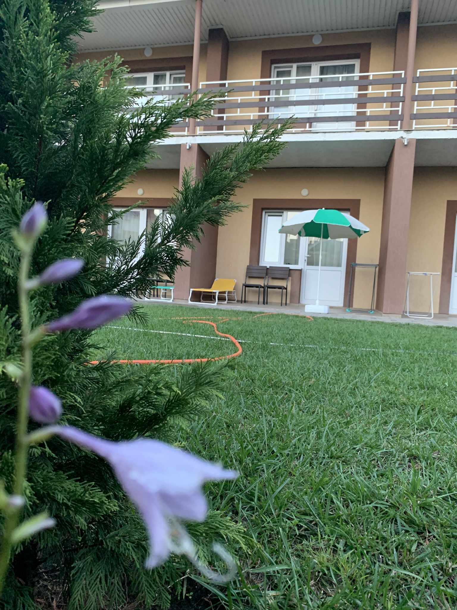 Фото Жемчужина