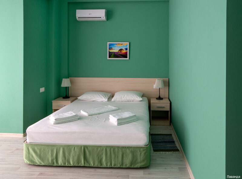 Фото Лаванда