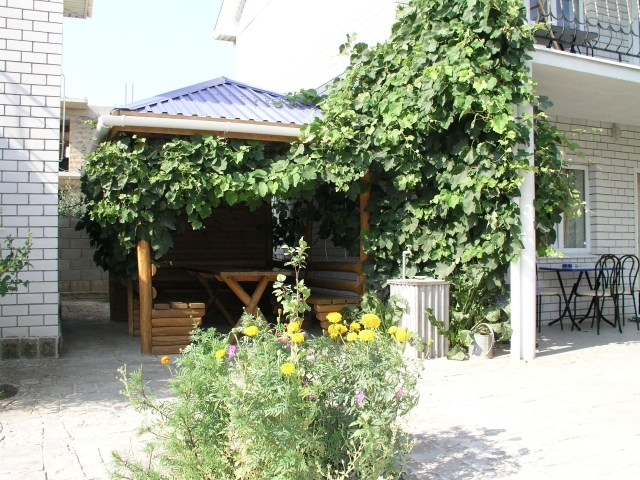 Фото Михалыч