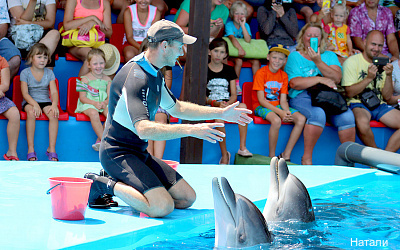 Фото Звандрипш Эко Village