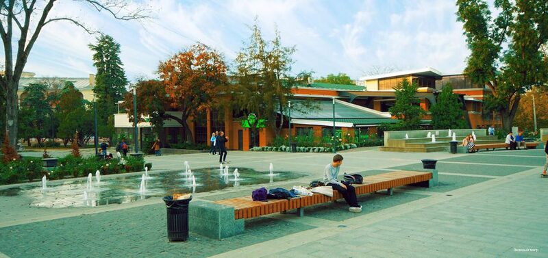 Фото Зеленый театр