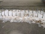 Bicycle stand (Spasskaya Street, 8), bicycle parking