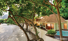 Фото Life Gallery Athens