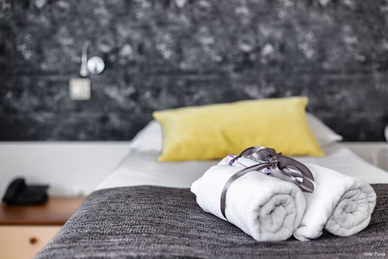 Фото Hotel Punta