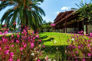 Фото Palladium Hotel