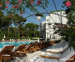 Фото Hotel Greif