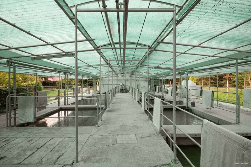 Фото Terme Vena D'Oro