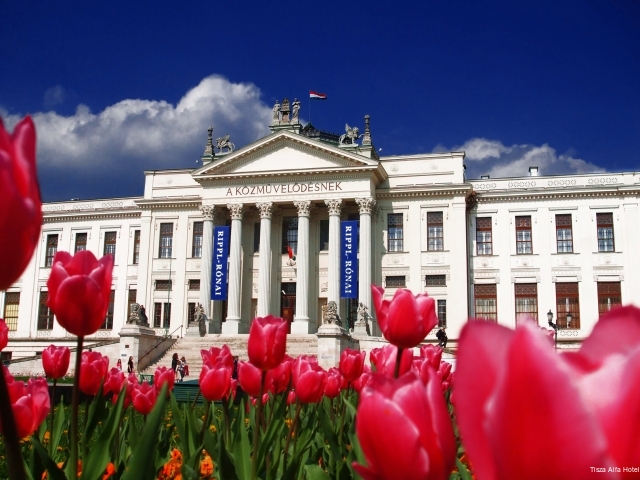 Фото отеля 5