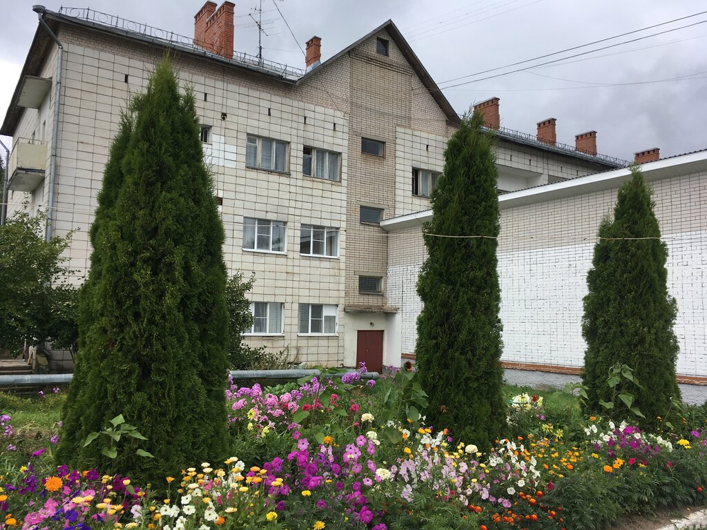 Hogar para inválidos y ancianos Zavolzhsky dom-internat dlya prestarelykh i invalidov, , foto