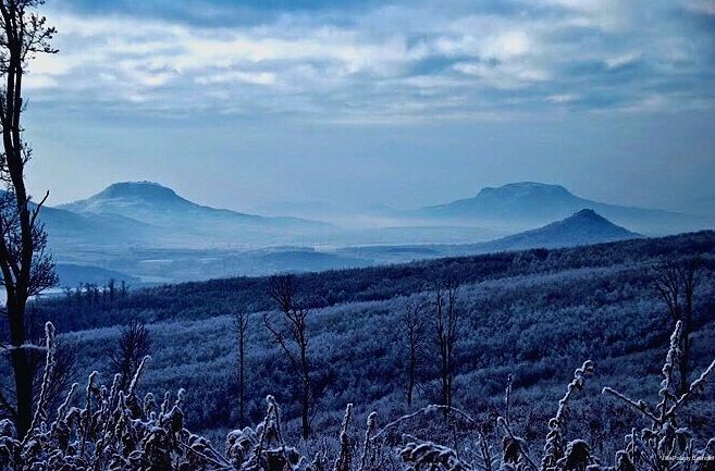 Фото Villa Patzay Borhotel
