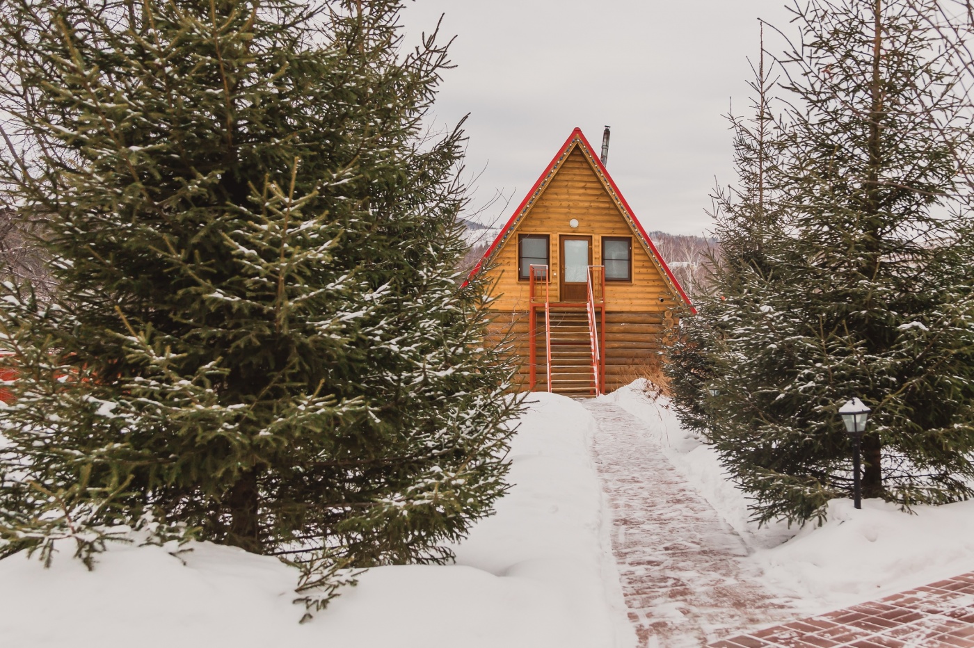 Фото Еловое